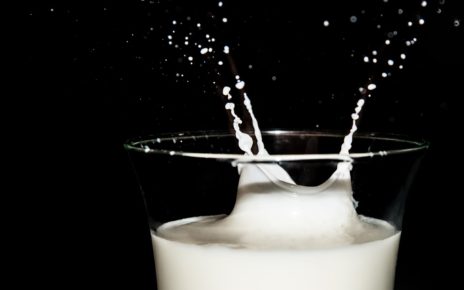 LA PRODUCCIÓN MUNDIAL DE LECHE CRECIÓ 1.3%: FAO