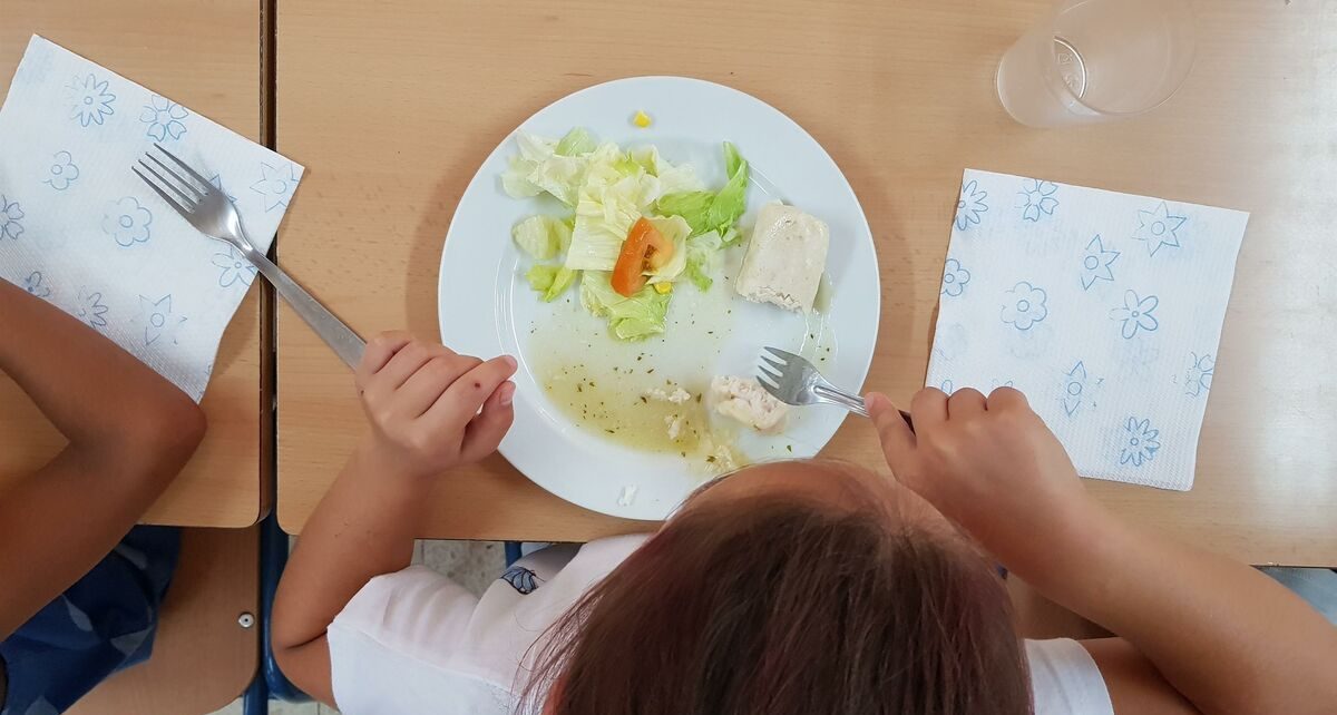 Un estudio con científicos de Granada revela la importancia de la leche en las pautas dietéticas