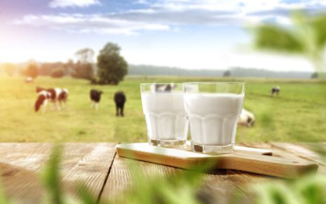 Situación de la producción mundial de leche de vaca en 2020